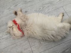 -小时光咖啡馆(北锣鼓巷店)