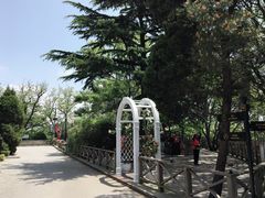 -青岛德国总督楼旧址博物馆