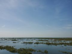 -北海金海湾红树林生态旅游区