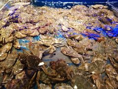 -澜悦港海鲜体验主题餐厅