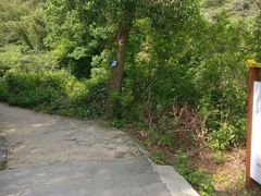 -羚羊峡古栈道森林公园