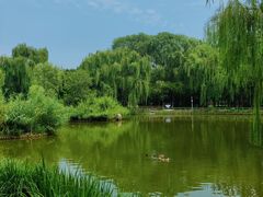 -将府公园