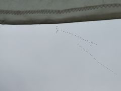 -鑫艋游艇海钓俱乐部