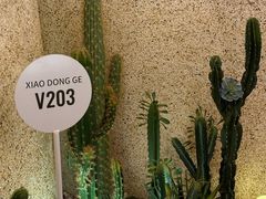 -小董哥烤串(金水花城店)