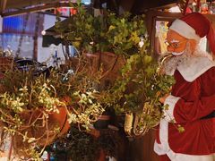 -猫相扑零食杂货铺(欧洲城店)