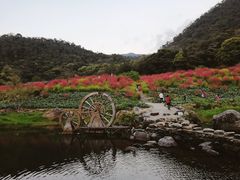 -广州市石门国家森林公园