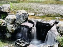 -白水寺森林公园
