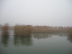 -滕州微山湖红荷湿地景区