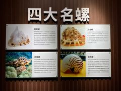 -贝壳王国博物馆