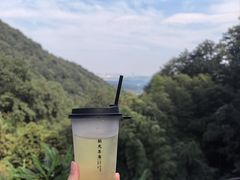 -韬光茶庵