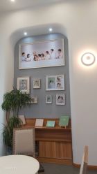 -宝贝家族国际影像馆(东郊记忆店)