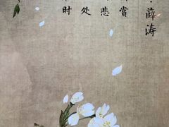-望江楼公园
