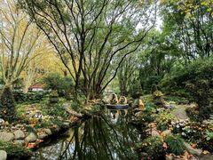 -上海共青森林公园