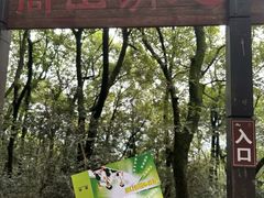 -岳麓山风景名胜区