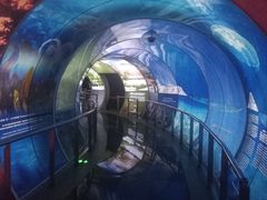 -房山世界地质公园博物馆