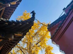 -长春观
