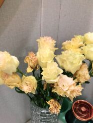 -苗方清颜专业祛痘·皮肤管理