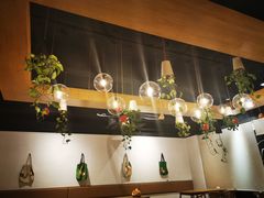 店内布置-柴务处·柴犬主题狗咖