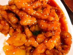 -山西派脂油饼(众创店)