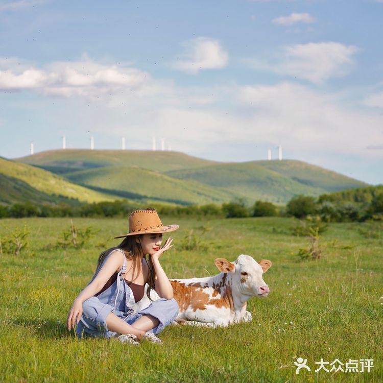 北京周末周边游｜京北第一天路草原攻略
