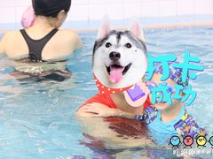 -领晟体育蓝天花园室内游泳馆