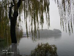 -西湖外事游船(花港观鱼码头)