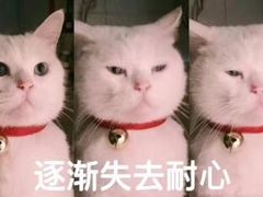 -无限虾享(同庆街店)