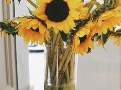 -id冰淇淋甜品店(全国总店)