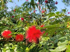 -福建鲤鱼洲酒店