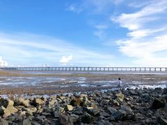 -宝安西湾红树林湿地公园