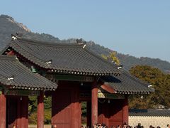 -景福宫