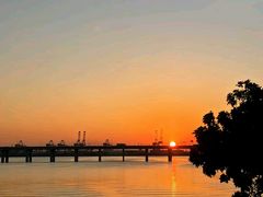 -宝安西湾红树林湿地公园