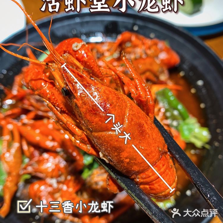 杭州城西夜宵好去处🌃活虾堂小龙虾抢“鲜”上市‼️安排🙋‍♂️
