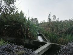 -白鹭湾湿地公园