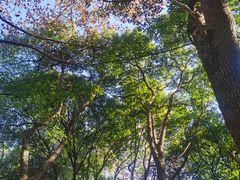 -杭州半山国家森林公园