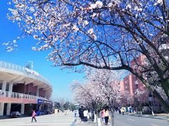 -西南民族大学南区(双流校区)