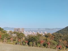 -青龙山公园