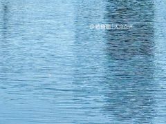 -后襄河公园