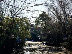 -同里国家湿地公园