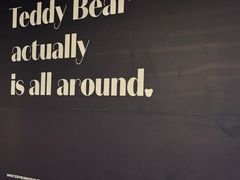 -济州岛泰迪熊博物馆