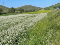 -天台山赤城山景区