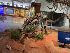 -自贡恐龙博物馆