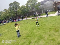 -上海都市菜园