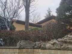 -青岛香根温泉酒店