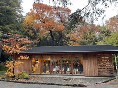 -北海道神宫