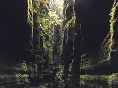 -梭布垭石林景区