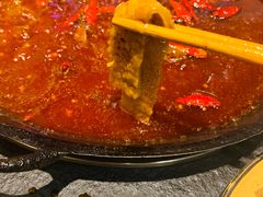 -胖碗火锅(观音桥店)