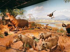 -陕西自然博物馆