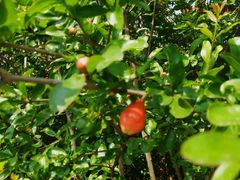 -四里河滨水生态公园