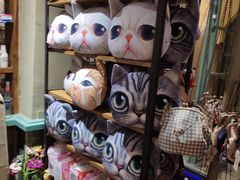 -猫咪博物馆(顶澳仔猫街店)